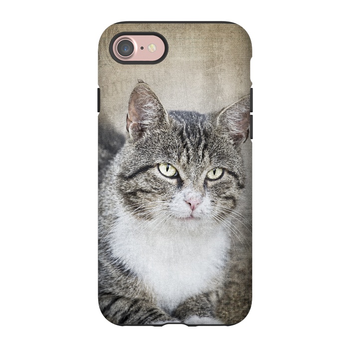 iPhone 7 StrongFit Friendly Cat Mixed Media Art by Andrea Haase