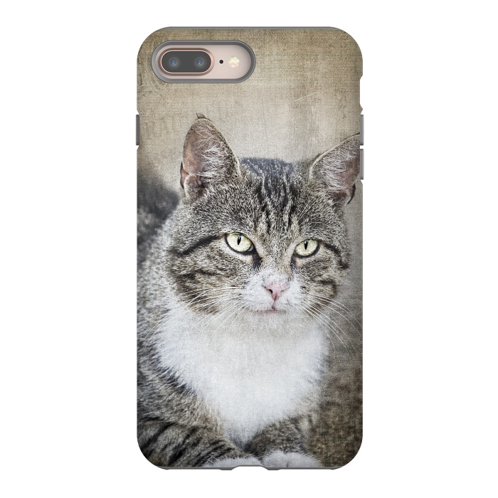 iPhone 7 plus StrongFit Friendly Cat Mixed Media Art by Andrea Haase