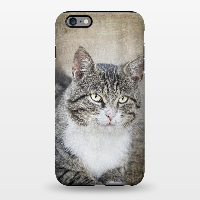 iPhone 6/6s plus StrongFit Friendly Cat Mixed Media Art by Andrea Haase