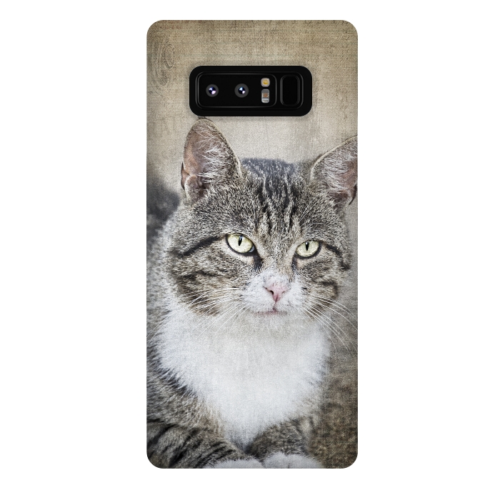 Galaxy Note 8 StrongFit Friendly Cat Mixed Media Art by Andrea Haase