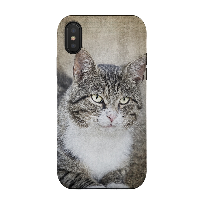 iPhone Xs / X StrongFit Friendly Cat Mixed Media Art by Andrea Haase