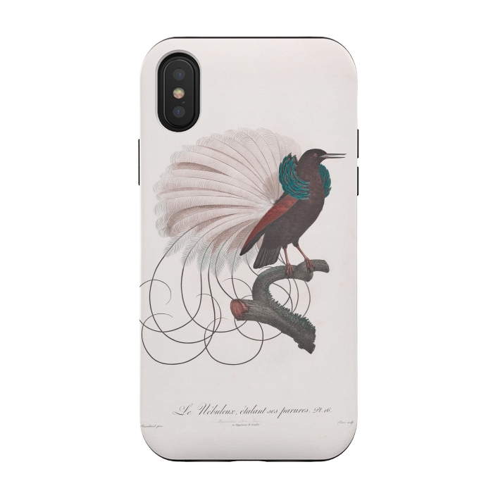 iPhone Xs / X StrongFit Extravagant Vintage  Bird by Andrea Haase
