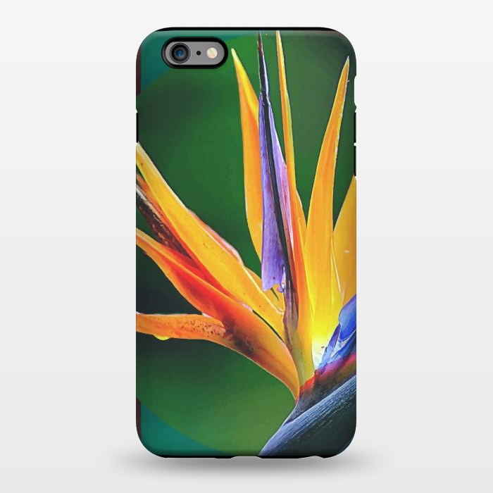iPhone 6/6s plus StrongFit Bird of Paradise by Creativeaxle