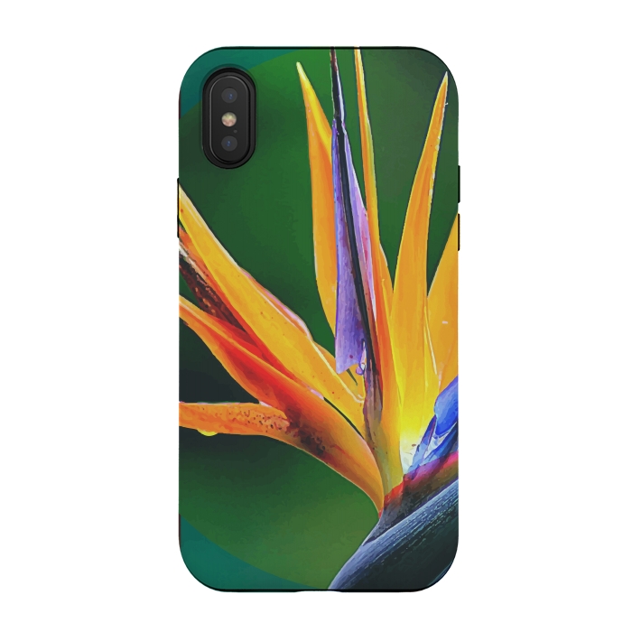 iPhone Xs / X StrongFit Bird of Paradise by Creativeaxle