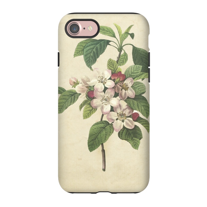iPhone 7 StrongFit Vintage Apple Blossom Painting by Andrea Haase