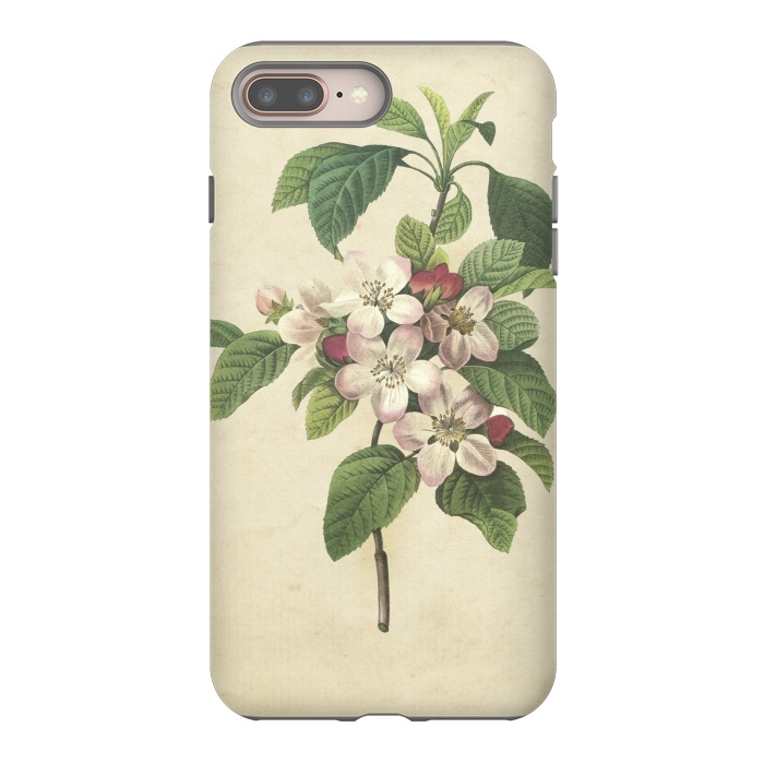 iPhone 7 plus StrongFit Vintage Apple Blossom Painting by Andrea Haase