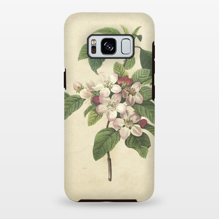 Galaxy S8 plus StrongFit Vintage Apple Blossom Painting by Andrea Haase