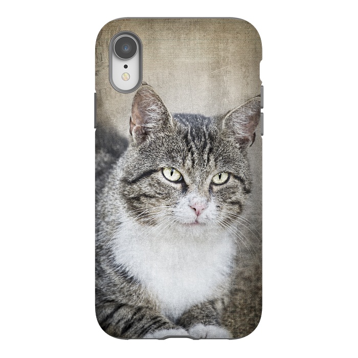 iPhone Xr StrongFit Friendly Cat Mixed Media Art by Andrea Haase