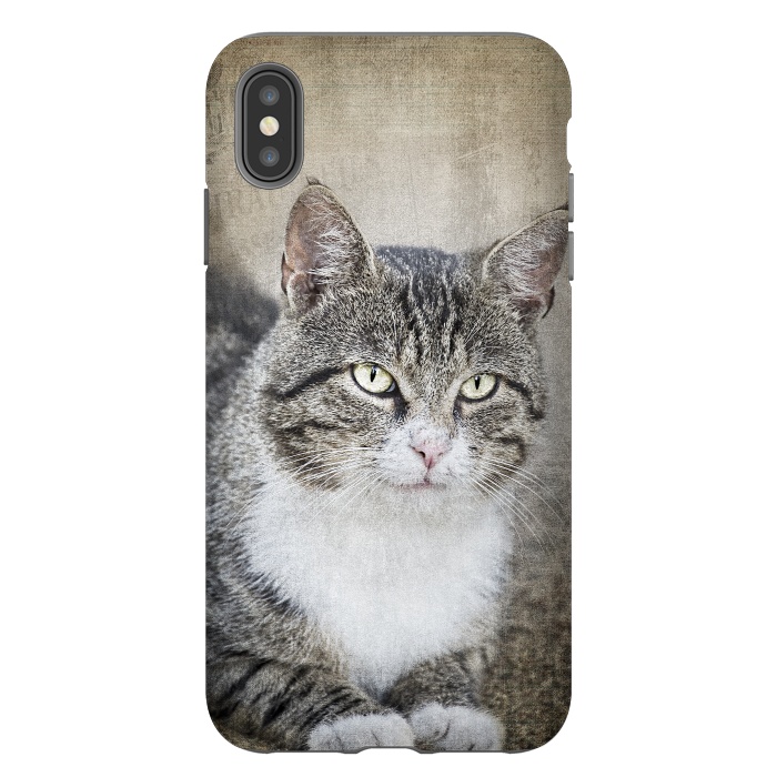 iPhone Xs Max StrongFit Friendly Cat Mixed Media Art by Andrea Haase