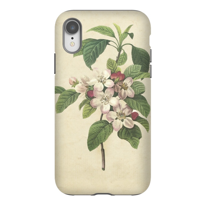 iPhone Xr StrongFit Vintage Apple Blossom Painting by Andrea Haase