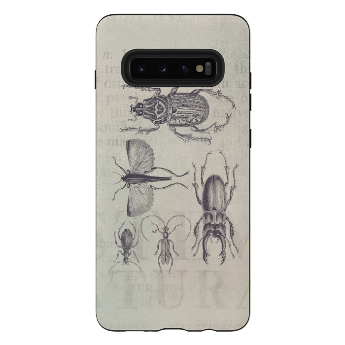Galaxy S10 plus StrongFit Vintage Beetles And Bugs by Andrea Haase