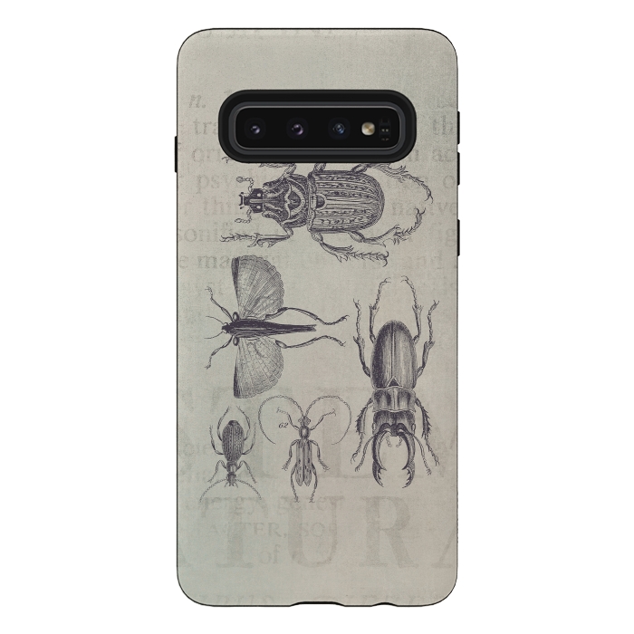 Galaxy S10 StrongFit Vintage Beetles And Bugs by Andrea Haase