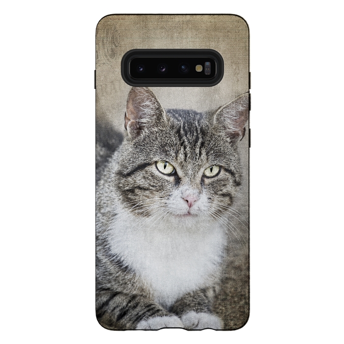 Galaxy S10 plus StrongFit Friendly Cat Mixed Media Art by Andrea Haase