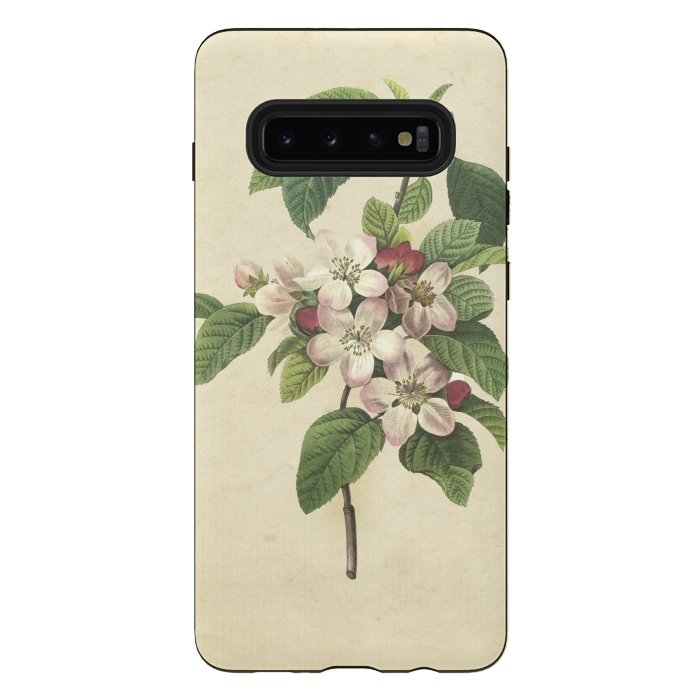 Galaxy S10 plus StrongFit Vintage Apple Blossom Painting by Andrea Haase