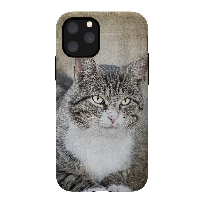 iPhone 11 Pro StrongFit Friendly Cat Mixed Media Art by Andrea Haase