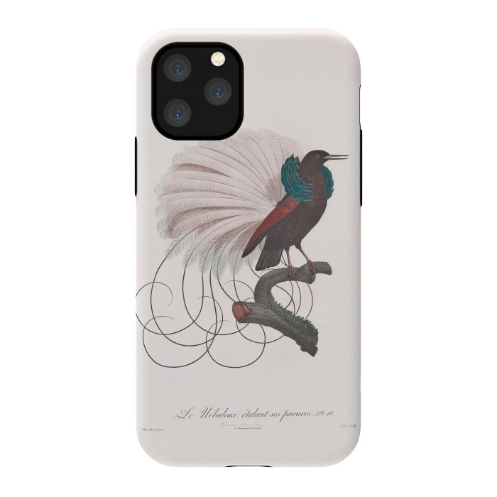 iPhone 11 Pro StrongFit Extravagant Vintage  Bird by Andrea Haase