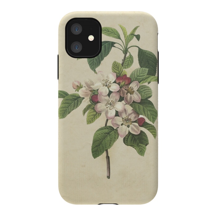 iPhone 11 StrongFit Vintage Apple Blossom Painting by Andrea Haase