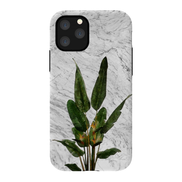 iPhone 11 Pro StrongFit Bird of Paradise Plant on White by amini54