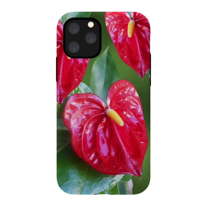 iPhone 11 Pro StrongFit Anthurium Red Exotic Flower  by BluedarkArt