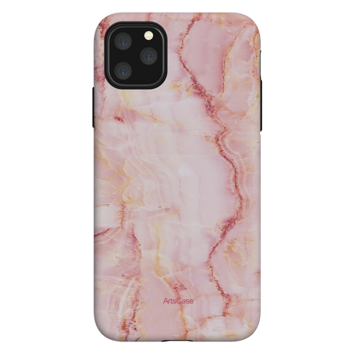 iPhone 11 Pro Max StrongFit Pink Salt Flats by ArtsCase