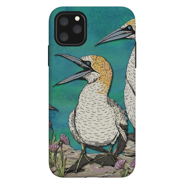 iPhone 11 Pro Max StrongFit Gannet Chat by Lotti Brown