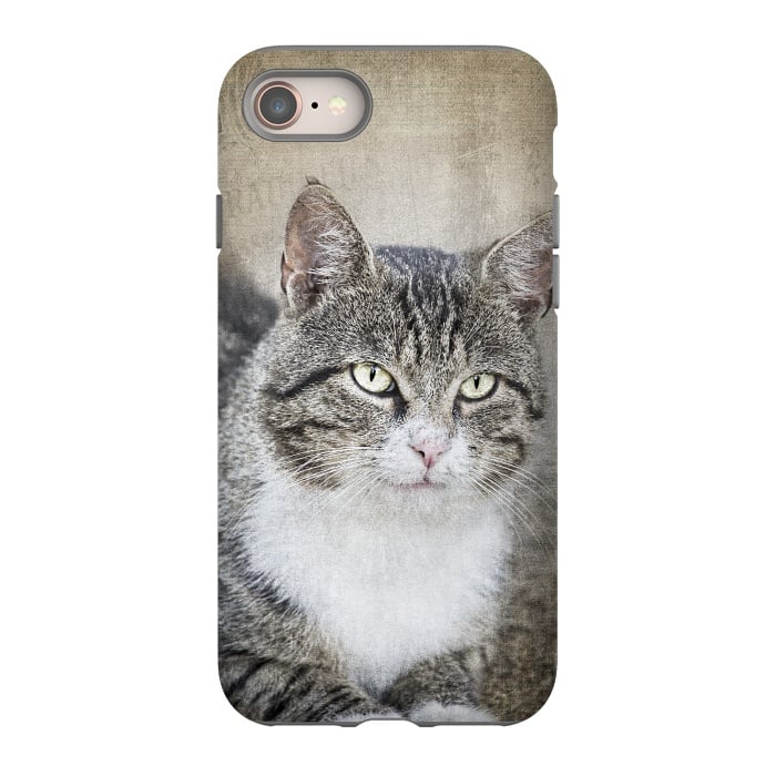 iPhone SE StrongFit Friendly Cat Mixed Media Art by Andrea Haase