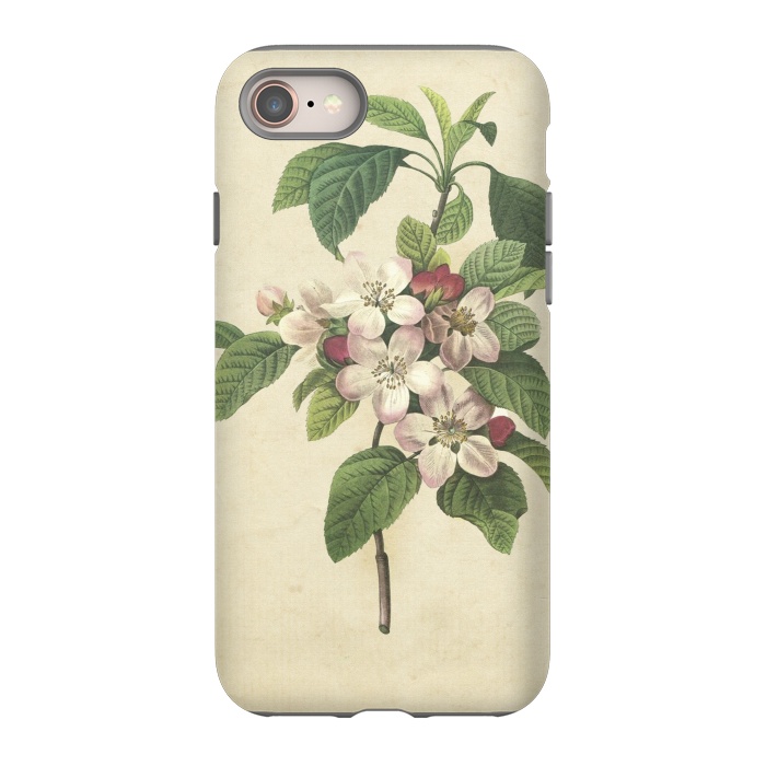iPhone SE StrongFit Vintage Apple Blossom Painting by Andrea Haase
