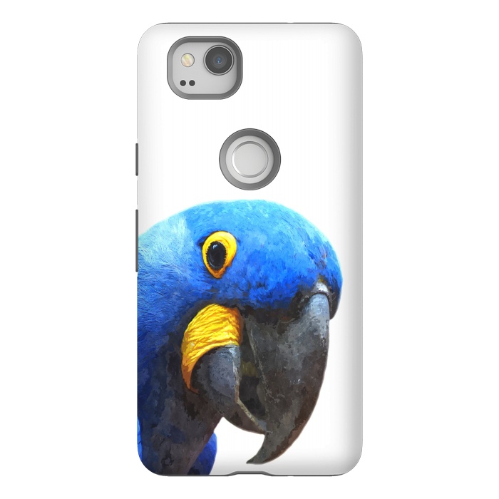 Pixel 2 StrongFit Blue Parrot Portrait by Alemi