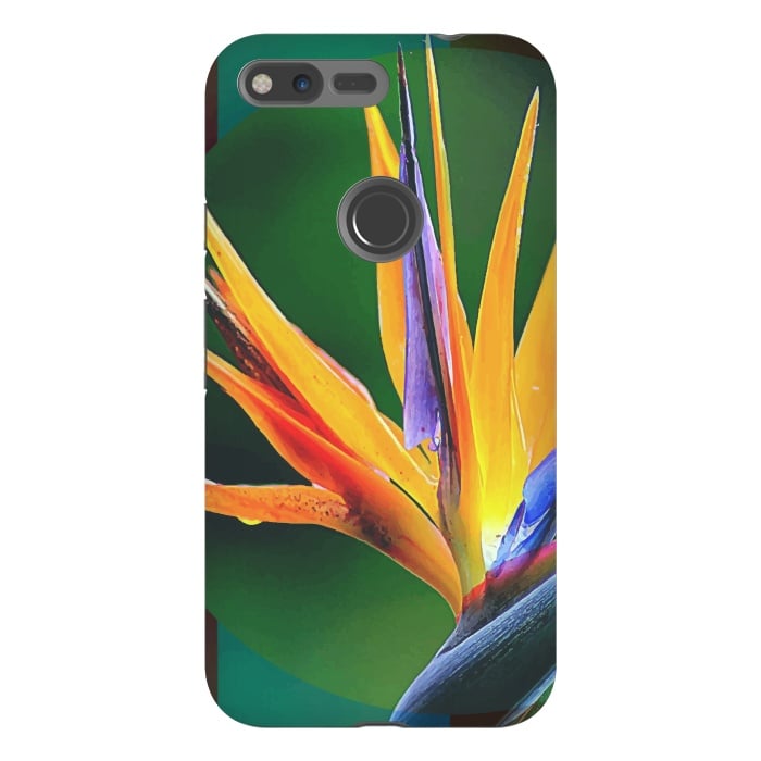 Pixel XL StrongFit Bird of Paradise by Creativeaxle