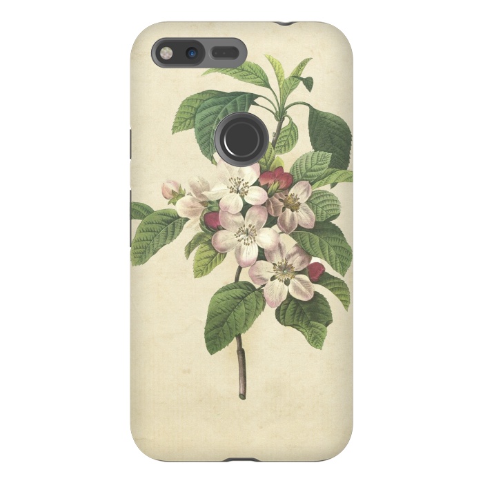 Pixel XL StrongFit Vintage Apple Blossom Painting by Andrea Haase
