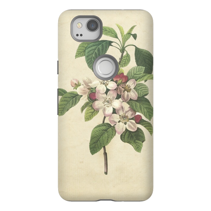 Pixel 2 StrongFit Vintage Apple Blossom Painting by Andrea Haase