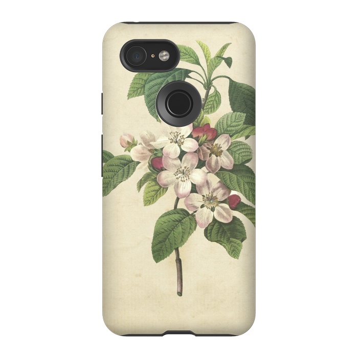 Pixel 3 StrongFit Vintage Apple Blossom Painting by Andrea Haase