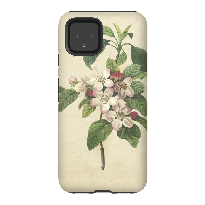 Pixel 4 StrongFit Vintage Apple Blossom Painting by Andrea Haase