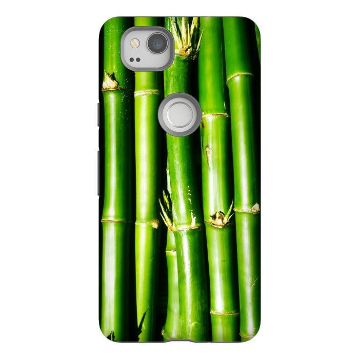 Pixel 2 StrongFit Bamboo Zen Green Nature by BluedarkArt