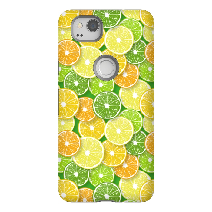 Pixel 2 StrongFit Citrus fruit slices 2 by Katerina Kirilova