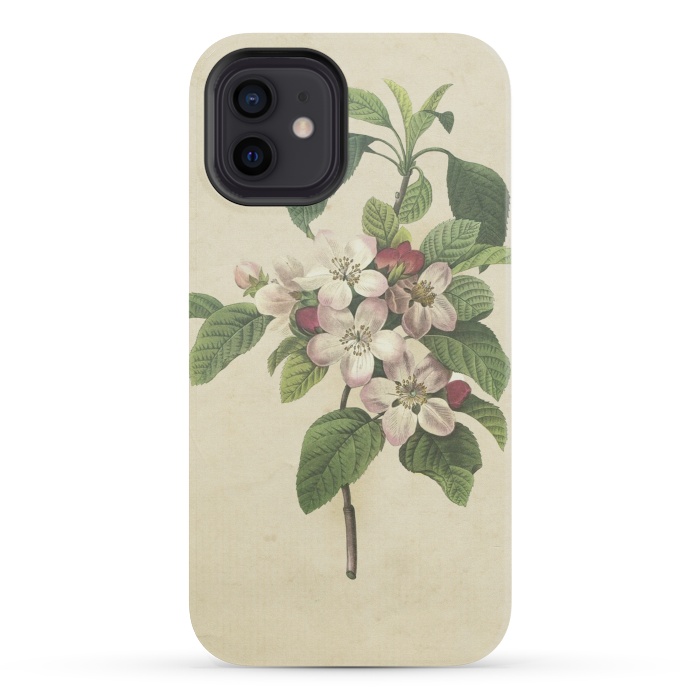 iPhone 12 mini StrongFit Vintage Apple Blossom Painting by Andrea Haase