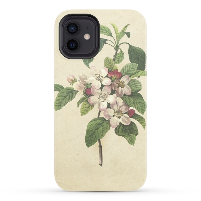 iPhone 12 StrongFit Vintage Apple Blossom Painting by Andrea Haase