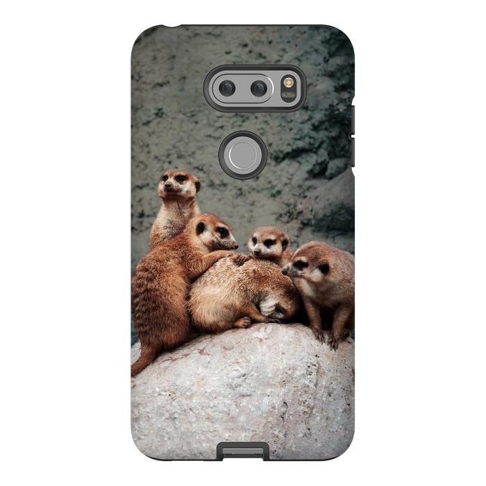 V30 StrongFit Meerkat family by Laura Nagel