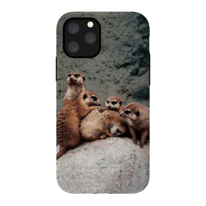iPhone 11 Pro StrongFit Meerkat family by Laura Nagel