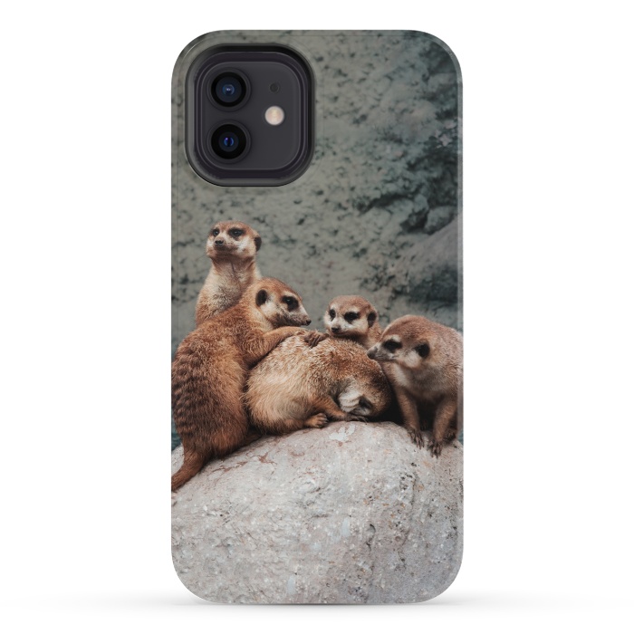 iPhone 12 mini StrongFit Meerkat family by Laura Nagel