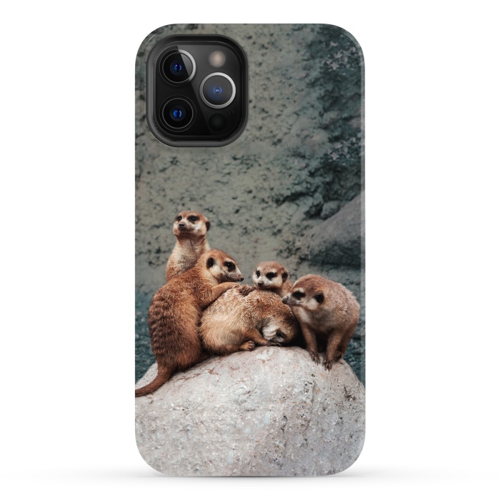 iPhone 12 Pro Max StrongFit Meerkat family by Laura Nagel