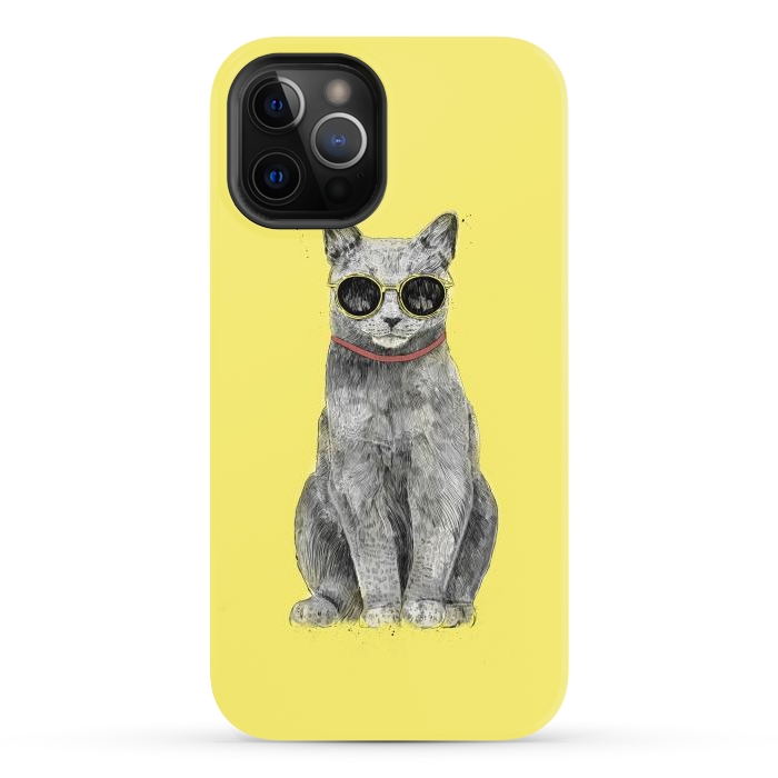 iPhone 12 Pro Max StrongFit Summer Cat by Balazs Solti