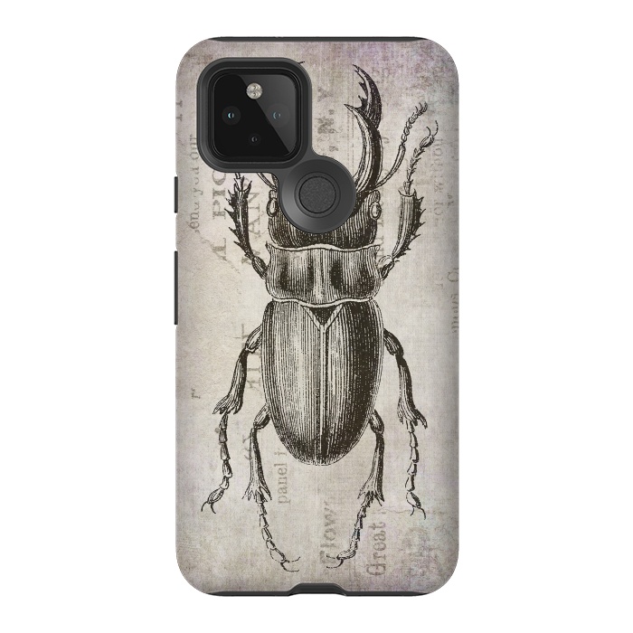 Pixel 5 StrongFit Stag Beetle Vintage Mixed Media Art by Andrea Haase