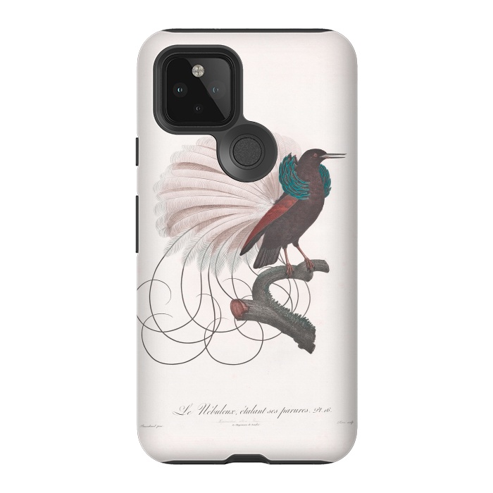 Pixel 5 StrongFit Extravagant Vintage  Bird by Andrea Haase