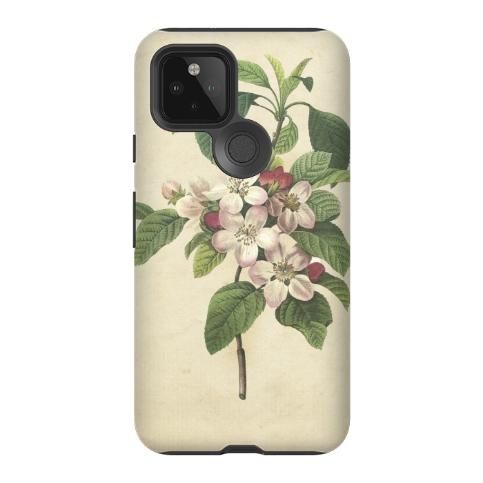 Pixel 5 StrongFit Vintage Apple Blossom Painting by Andrea Haase