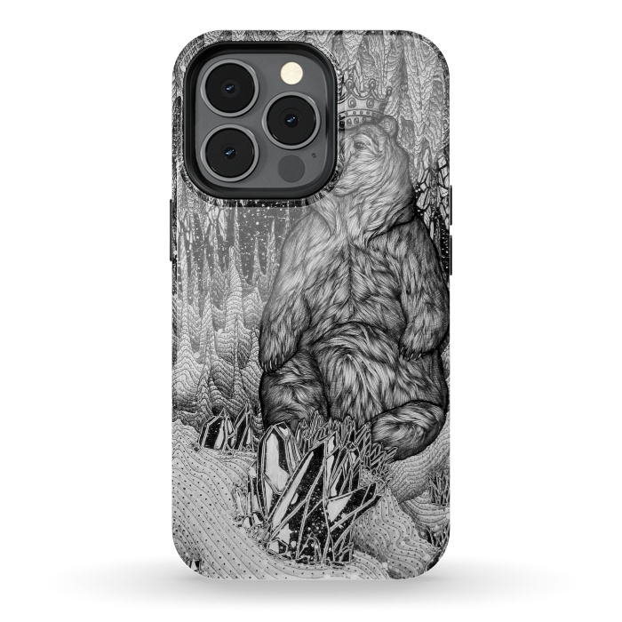 iPhone 13 pro StrongFit Cave of the Bear King by ECMazur 