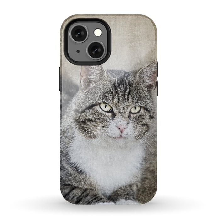 iPhone 13 mini StrongFit Friendly Cat Mixed Media Art by Andrea Haase