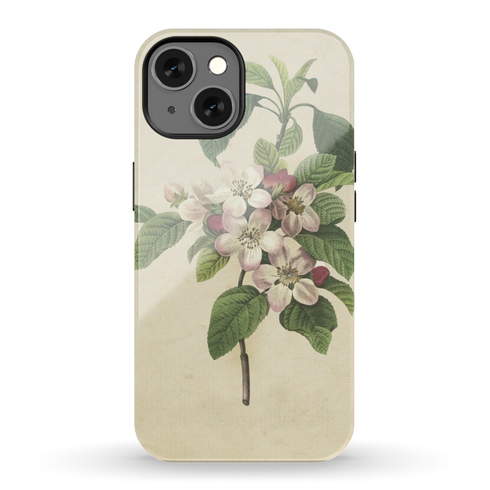 iPhone 13 StrongFit Vintage Apple Blossom Painting by Andrea Haase