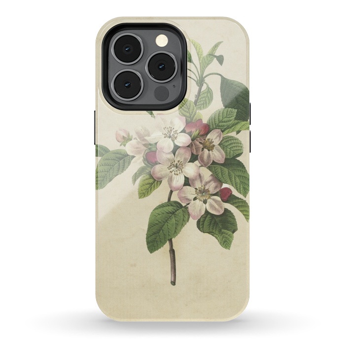 iPhone 13 pro StrongFit Vintage Apple Blossom Painting by Andrea Haase