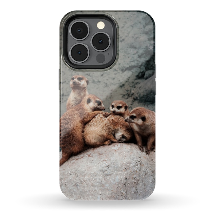 iPhone 13 pro StrongFit Meerkat family by Laura Nagel